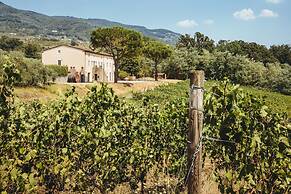 Fattoria Camigliano Wine Estate