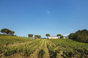 Fattoria Camigliano Wine Estate