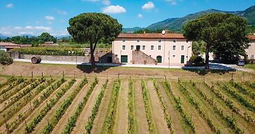 Fattoria Camigliano Wine Estate