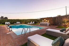 Fattoria Camigliano Wine Estate