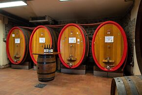 Fattoria Camigliano Wine Estate