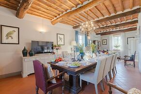 Fattoria Camigliano Wine Estate