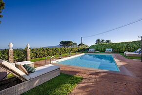 Fattoria Camigliano Wine Estate