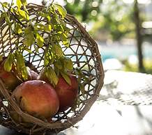 Villa Amiela in Sant Agata sui Due Golfi