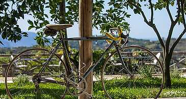 Villa Amiela in Sant Agata sui Due Golfi