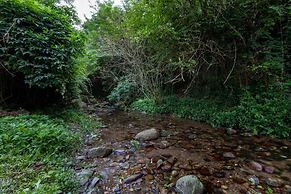 Rio Delle Fate in Vorno