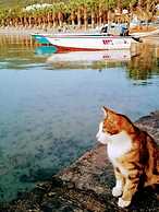 Antique İasos Butik Otel