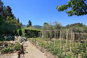 Rocca di Cetona - a Medieval Castle