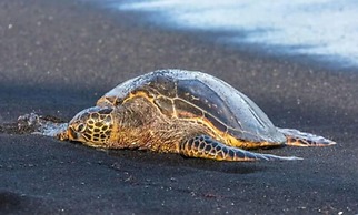 Dry Camping Oceanview bring Camping Gear