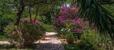 Felicity Hotel & Bungalows