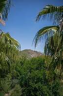 Felicity Hotel & Bungalows