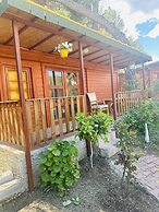 Felicity Hotel & Bungalows