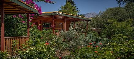 Felicity Hotel & Bungalows