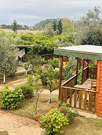 Felicity Hotel & Bungalows