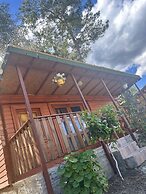 Felicity Hotel & Bungalows