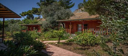 Felicity Hotel & Bungalows