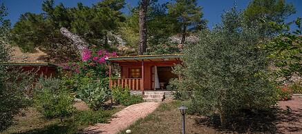 Felicity Hotel & Bungalows