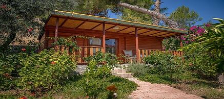 Felicity Hotel & Bungalows