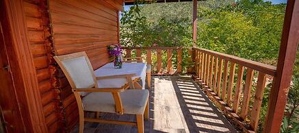 Felicity Hotel & Bungalows