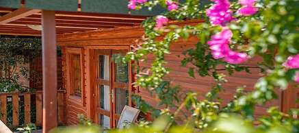 Felicity Hotel & Bungalows