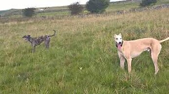 The Holmes Barn - Sleeps 16 - Peak District