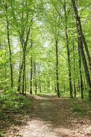 Ancient Lore Village