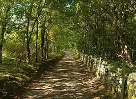 17 'talitha' Bell Tent Glamping Anglesey