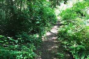 78mbr - Wood Stove - Wifi - Pets Ok - Bbq - Sleeps 6 1 Bedroom Home by