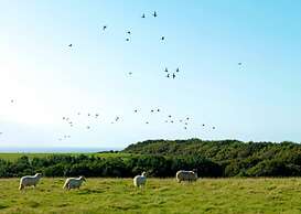 14 'zosma' Bell Tent Glamping Anglesey