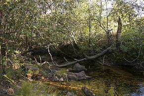 Terra Coral - Chapada dos Veadeiros