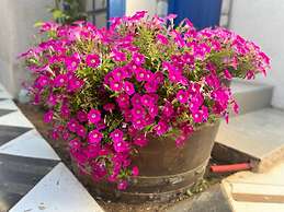 Ahuzat Shaul Hotel Seaside