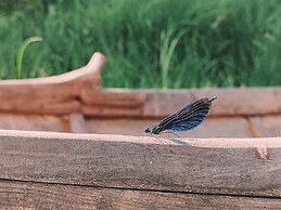 Långforsen Restaurang & Glamping