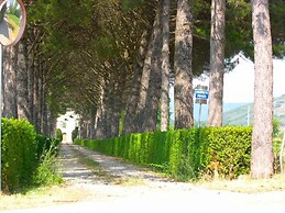 Villa La Contessa - Villa La Contessa