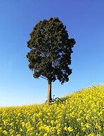 Villa Clair - Villa Clair