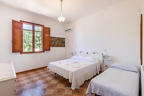 Sr-i754-ters44at - Due Palme