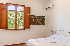 Sr-i754-ters44at - Due Palme