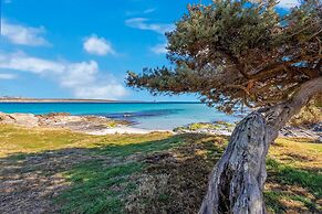 Ss-m290-pelo17at - Villa Pelosa