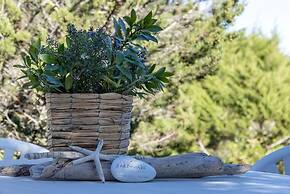 Ss-m290-pelo17at - Villa Pelosa