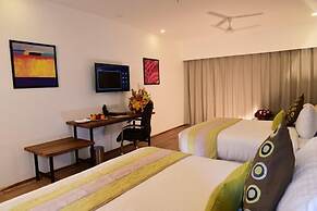 Timber Trail Heights & Terraces