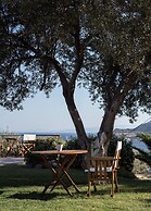 Aphaia Villas Aegina