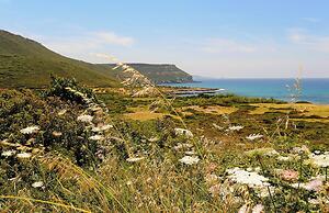 hotel baja romantica