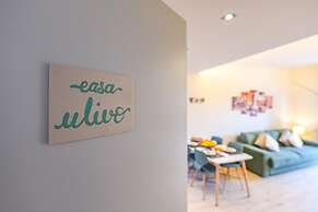 Appartamento Ulivo in Sal