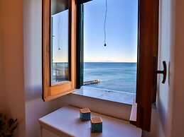 The Window to the sky