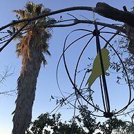 Casapiuholidaysicilia - Adults Only