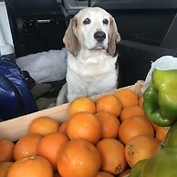 Casapiuholidaysicilia - Adults Only