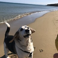 Casapiuholidaysicilia - Adults Only