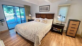 #101 Vail International