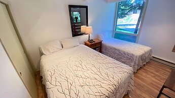 #101 Vail International