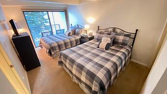 #202 Vail International