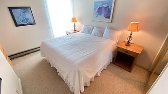 #305 Vail International